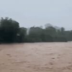 hindi-news