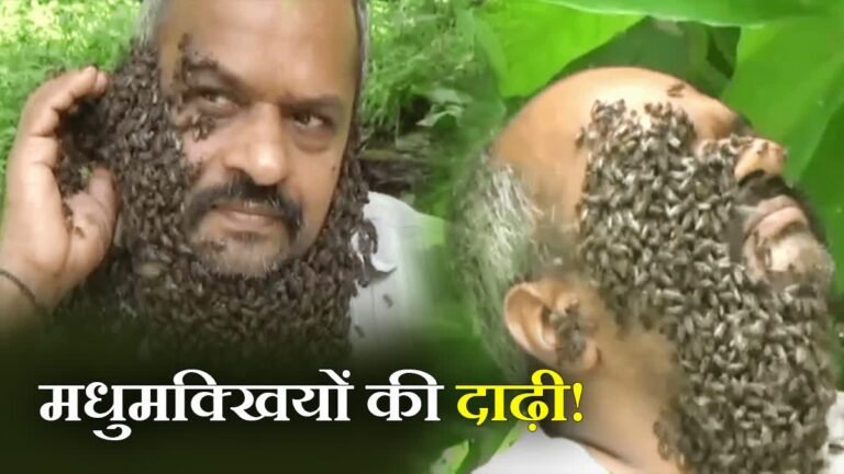 hindi-news